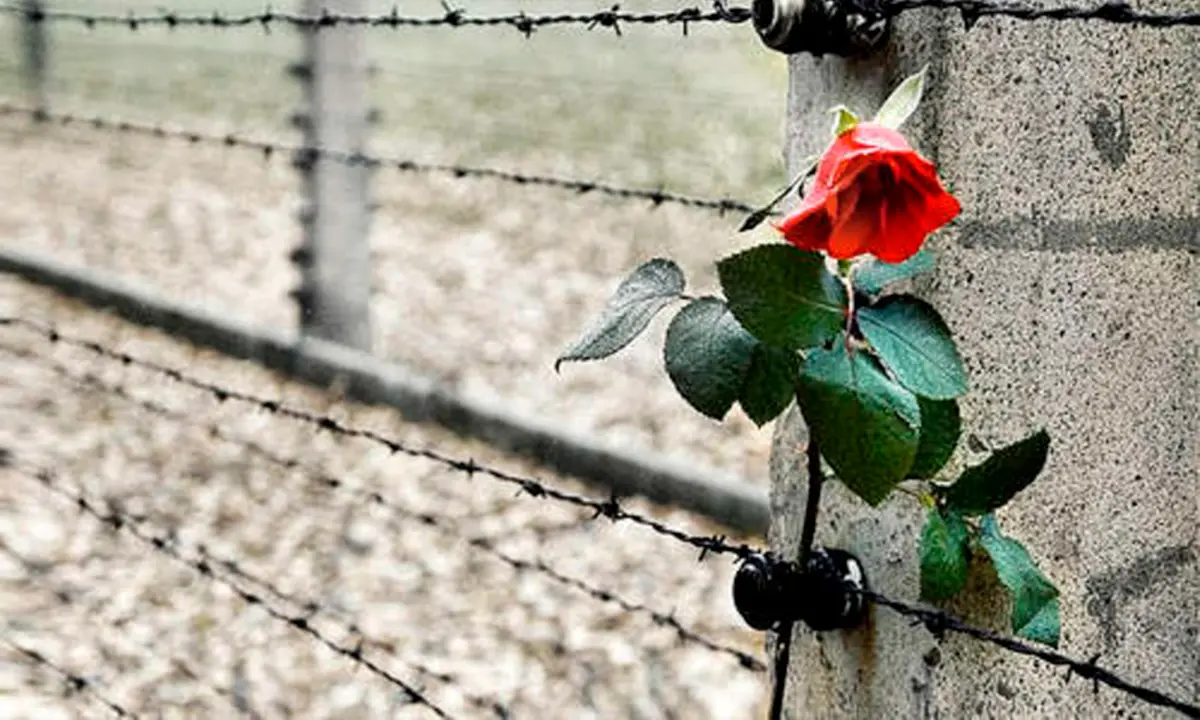 Giornata della Memoria, studenti di Diamante a Roma nei luoghi simbolo della barbarie nazifascista