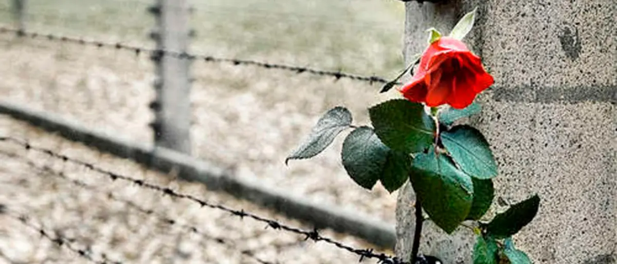 Giornata della Memoria, studenti di Diamante a Roma nei luoghi simbolo della barbarie nazifascista