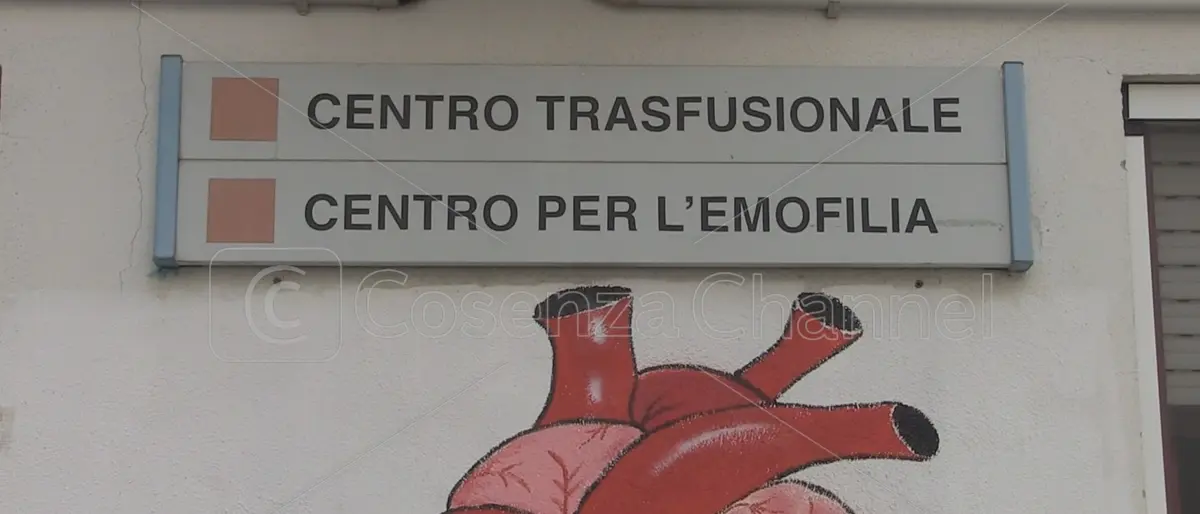 Carenze di plasma al centro trasfusionale di Cosenza: l'appello di Zinno (VIDEO)