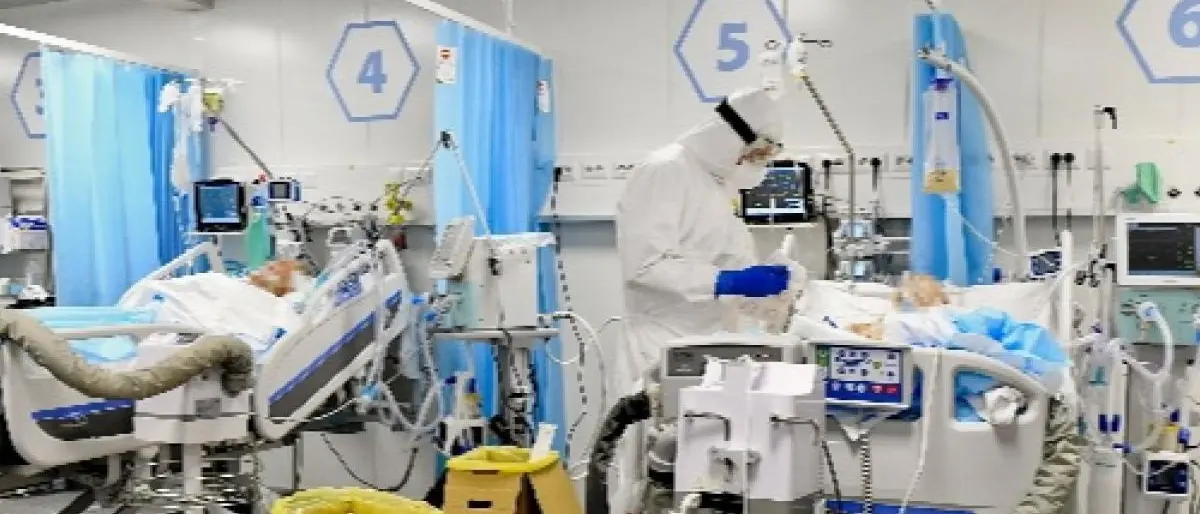 Covid Italia, nel bollettino del 24 gennaio si contano 77.696 contagi e 352 morti