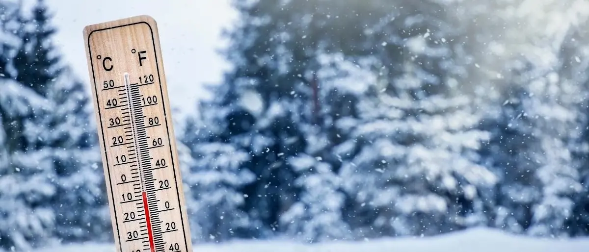 Meteo in Calabria, freddo e gelo sulla nostra. regione. Nevicate in Sila