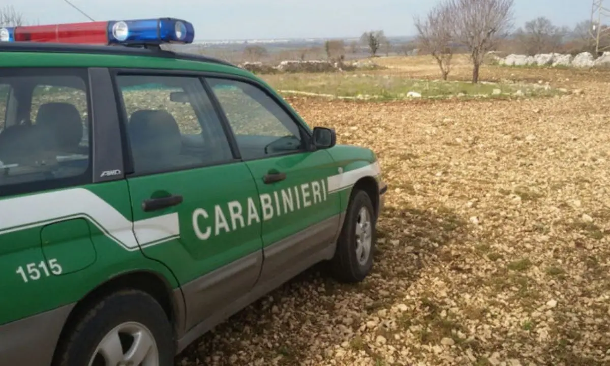 Laino Borgo, bimba su scuolabus rischia di soffocare: provvidenziale l'intervento di un militare