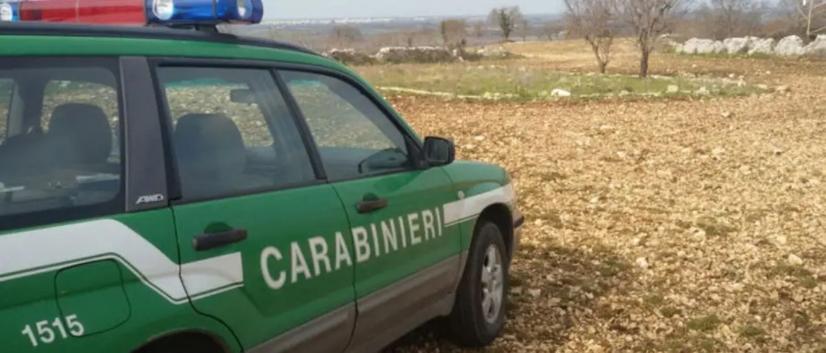 Laino Borgo, bimba su scuolabus rischia di soffocare: provvidenziale l'intervento di un militare