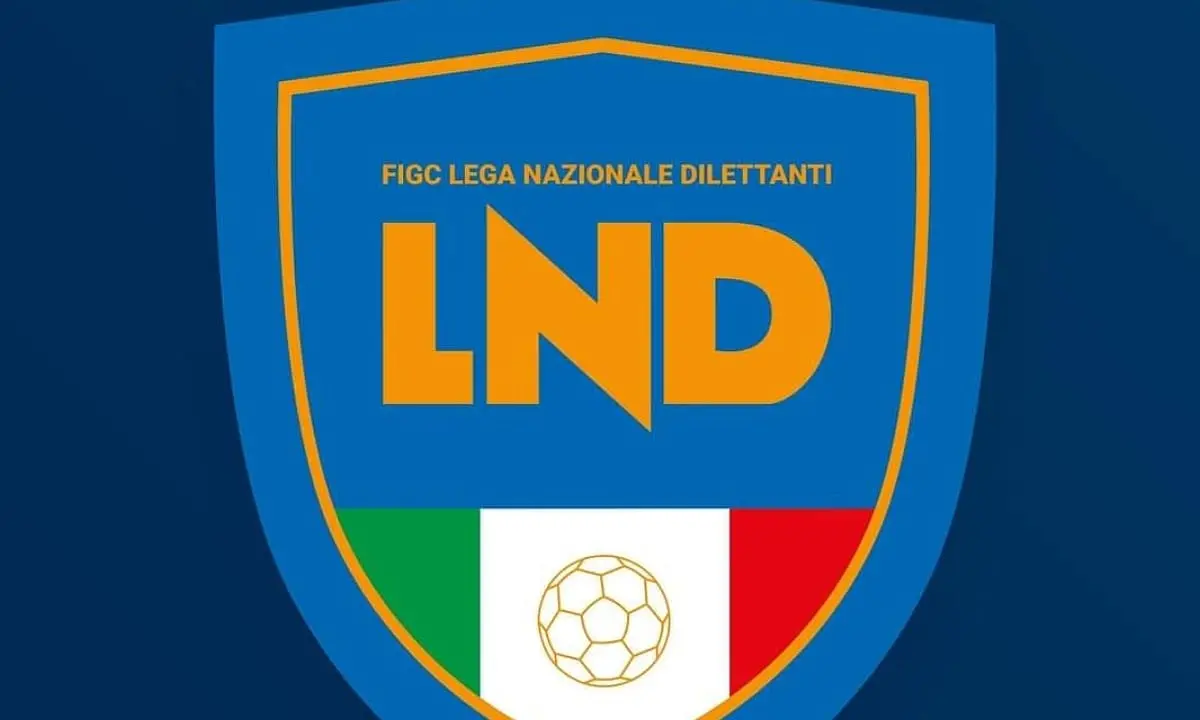Eccellenza e Promozione: iscritte e nuovi gironi per la prossima stagione