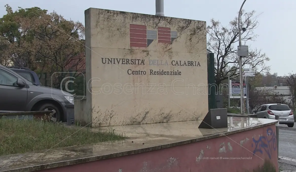 L'Unical torna ad assumere dopo 14 anni: disponibili 20 posti a tempo indeterminato. Ecco i profili richiesti