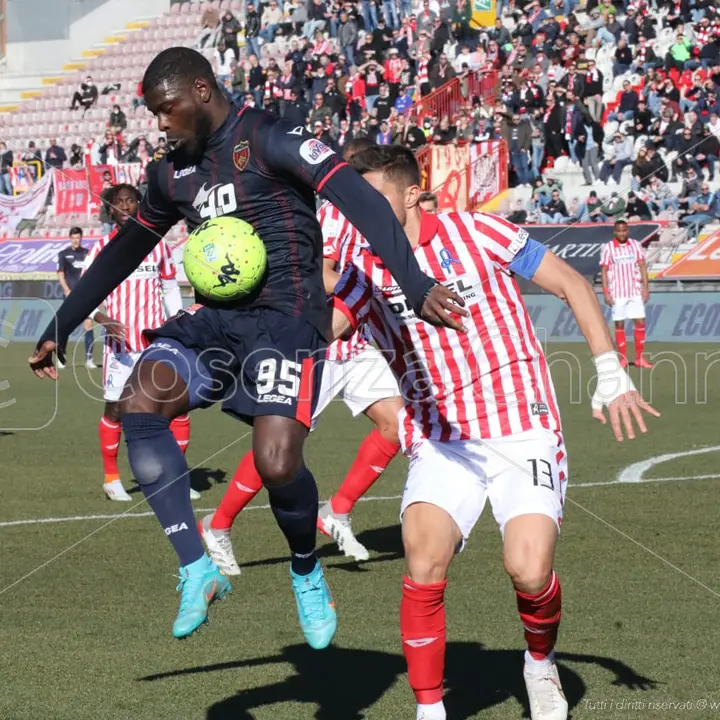 Vicenza-Cosenza 0-0, è un pareggio pieno di rammarico per i lupi