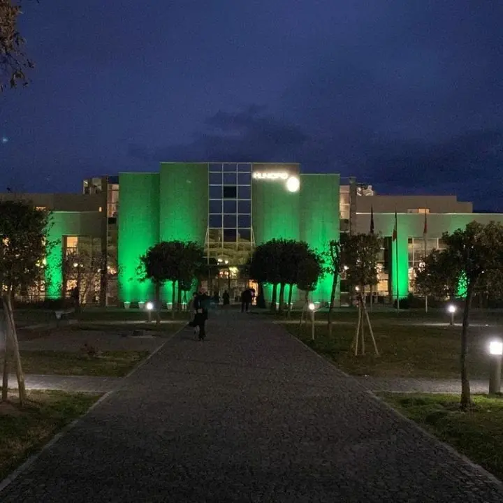 Rende si colora di verde per rendere omaggio agli attivisti delle lanterne