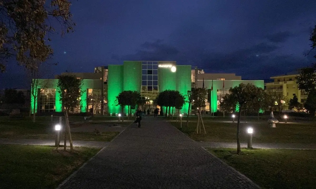 Rende si colora di verde per rendere omaggio agli attivisti delle lanterne