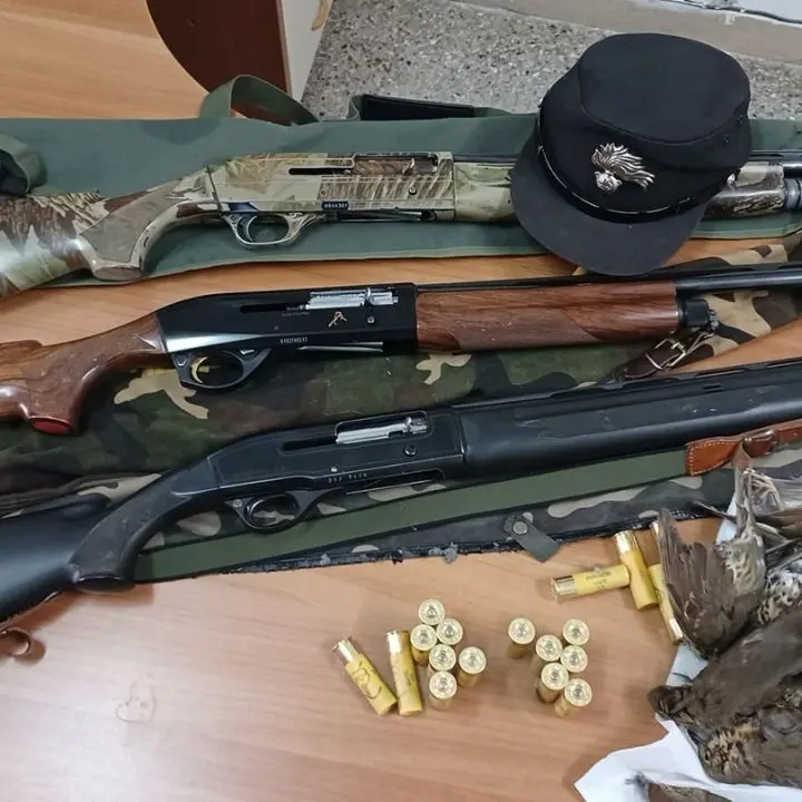 Altomonte, caccia a specie in un periodo non consentito. Denunciati tre persone