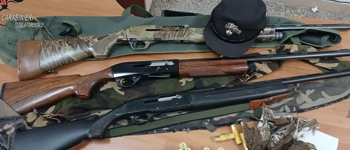 Altomonte, caccia a specie in un periodo non consentito. Denunciati tre persone