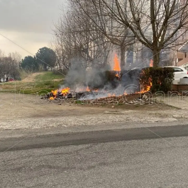 Rende, dà fuoco alle sterpaglie e le fiamme distruggono la siepe di un condominio