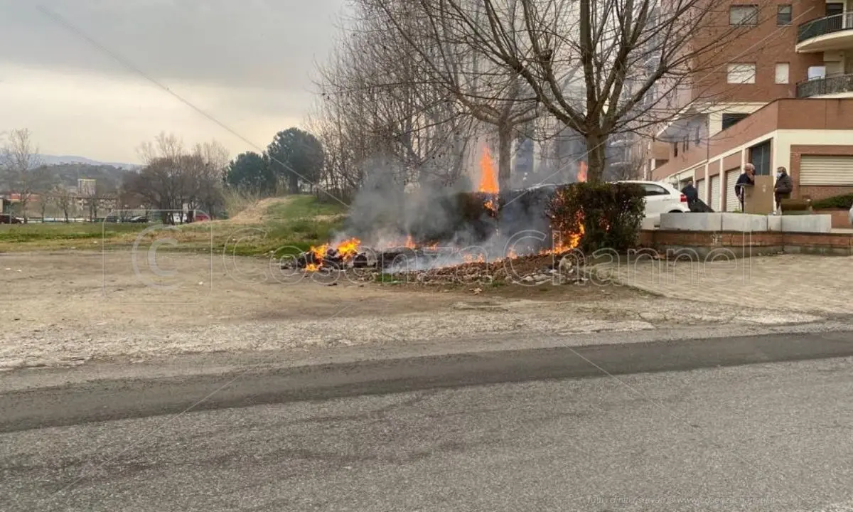 Rende, dà fuoco alle sterpaglie e le fiamme distruggono la siepe di un condominio