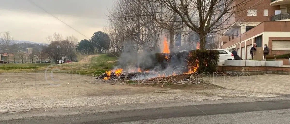 Rende, dà fuoco alle sterpaglie e le fiamme distruggono la siepe di un condominio