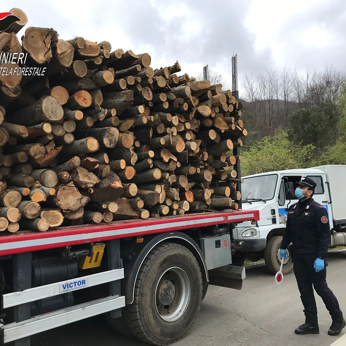 Rifiuti, bracconaggio e incendi boschivi: ecco le attività del 2021 dei carabinieri forestale di Cosenza