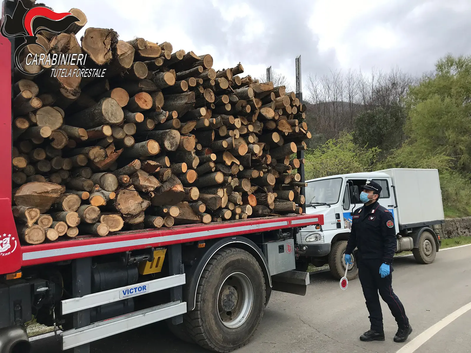 Rifiuti, bracconaggio e incendi boschivi: ecco le attività del 2021 dei carabinieri forestale di Cosenza