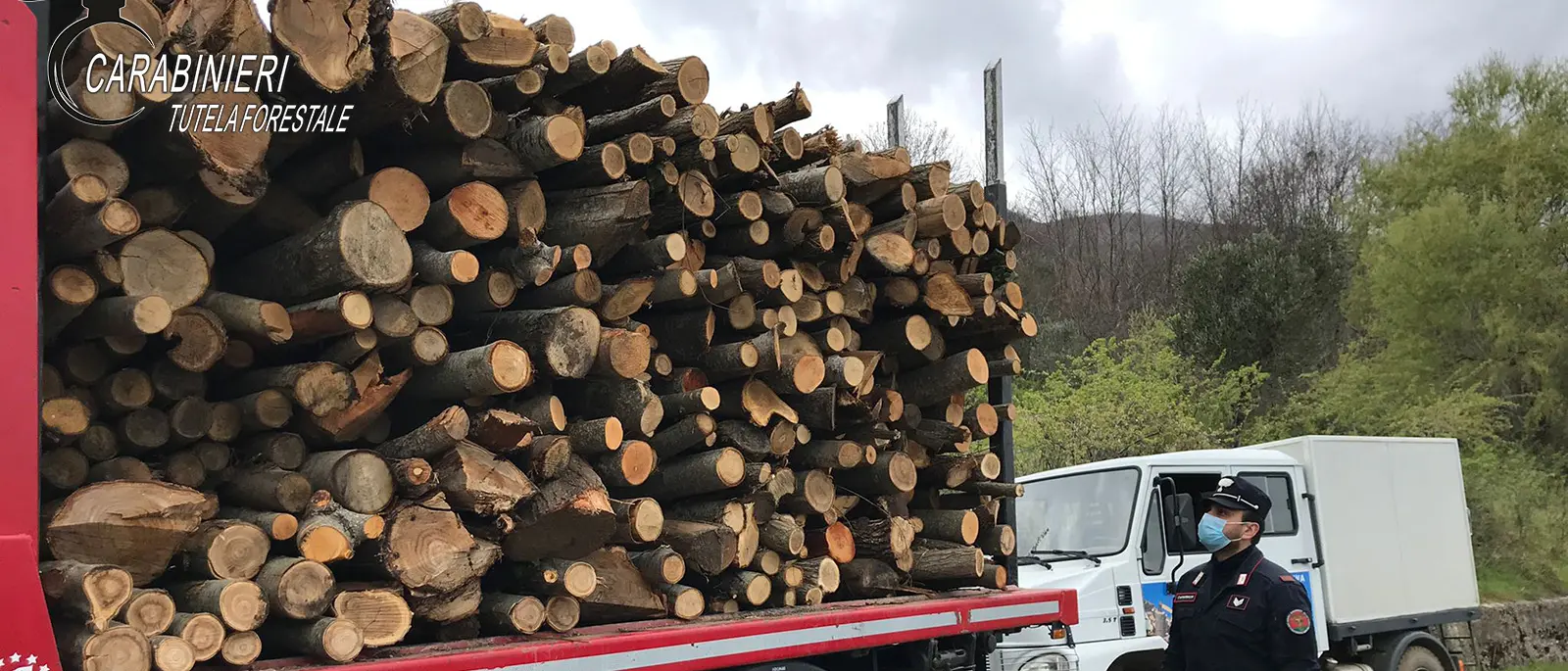 Rifiuti, bracconaggio e incendi boschivi: ecco le attività del 2021 dei carabinieri forestale di Cosenza