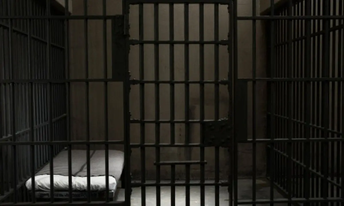 Garante dei detenuti a Cosenza, la Camera penale presenta la proposta al Comune