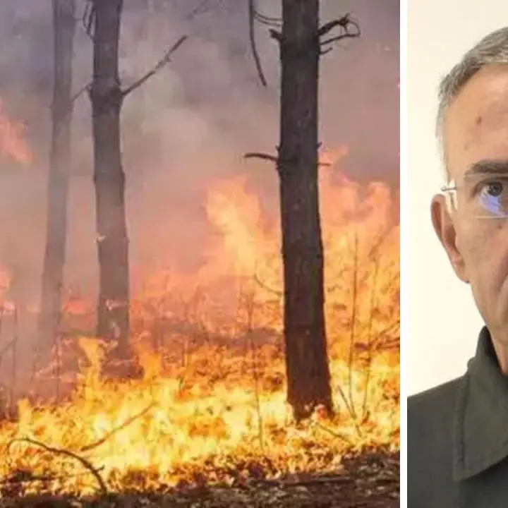 A giugno oltre 1.300 incendi in Calabria, l’appello del\u00A0direttore dei vigili del fuoco:\u00A0«Confidiamo su un atteggiamento responsabile dei cittadini»\n