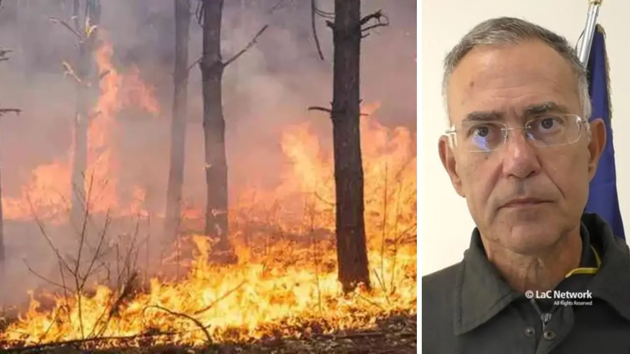 A giugno oltre 1.300 incendi in Calabria, l’appello del\u00A0direttore dei vigili del fuoco:\u00A0«Confidiamo su un atteggiamento responsabile dei cittadini»\n