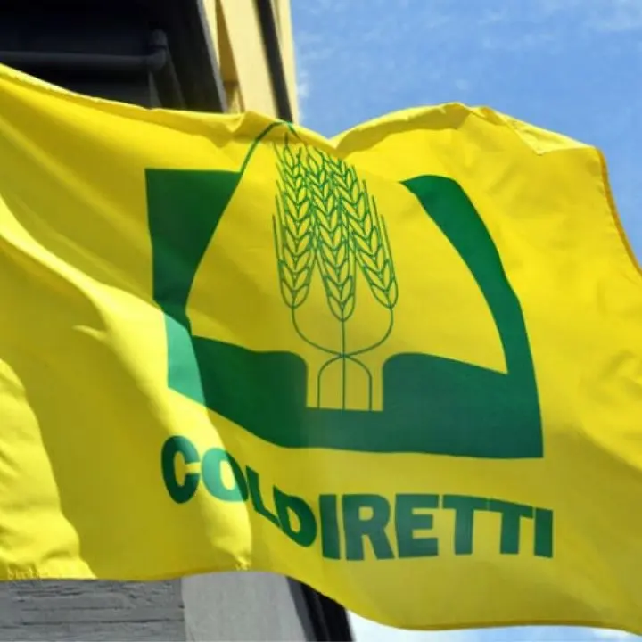 Coldiretti Calabria: «L'operazione \"Marchio\" conferma l'attacco e la rapina alla DOP Economy calabrese»
