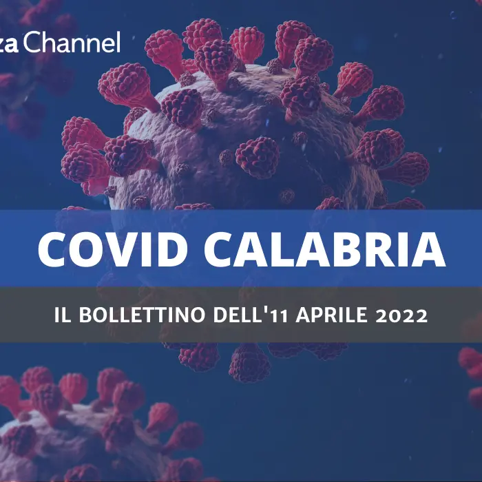 Covid Cosenza, 404 contagi e 10 morti. In Calabria 1.431 casi. Calano i ricoveri