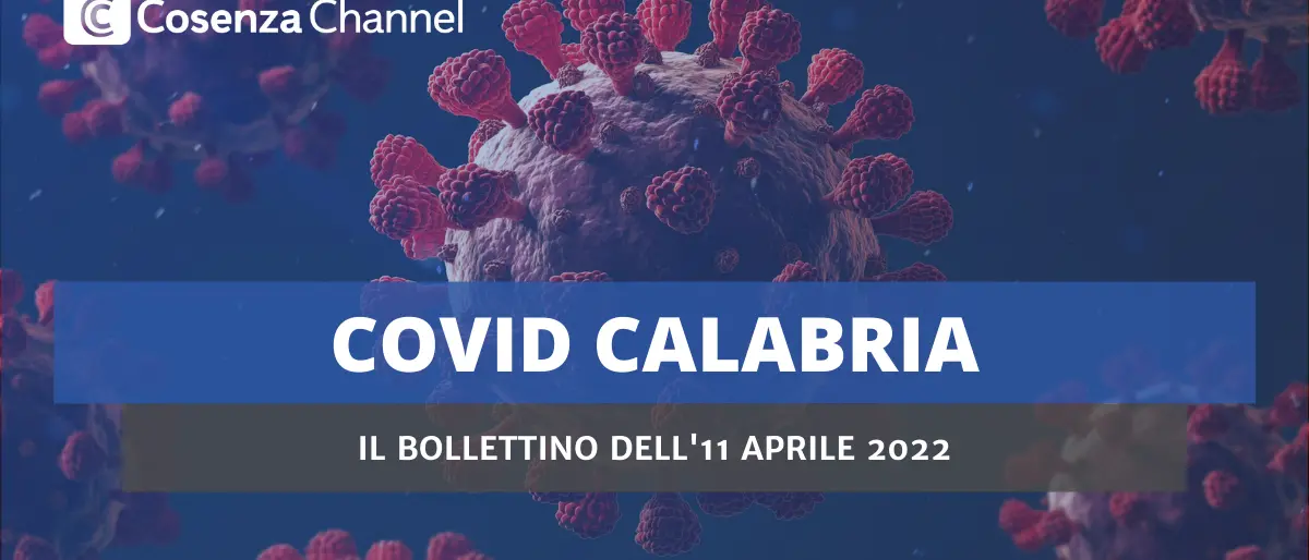 Covid Cosenza, 404 contagi e 10 morti. In Calabria 1.431 casi. Calano i ricoveri