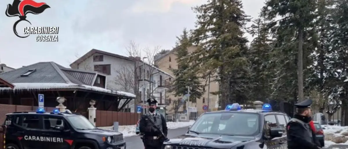 Furti nelle abitazioni e nelle aziende agricole di Celico, arrestate tre persone