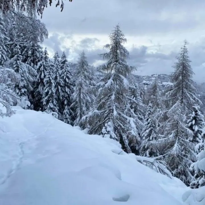 Meteo, freddo da Russia e neve fino in pianura: Italia nella morsa del gelo