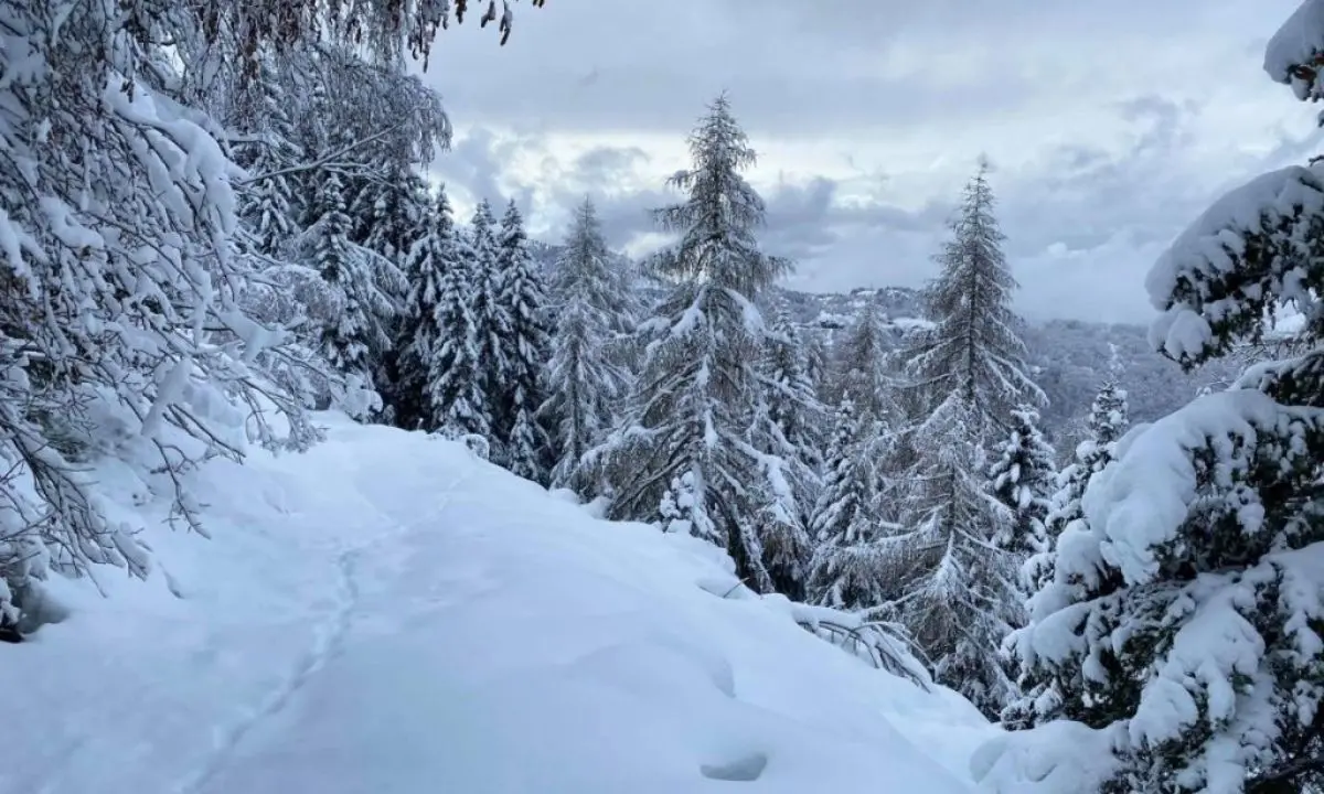 Meteo, freddo da Russia e neve fino in pianura: Italia nella morsa del gelo