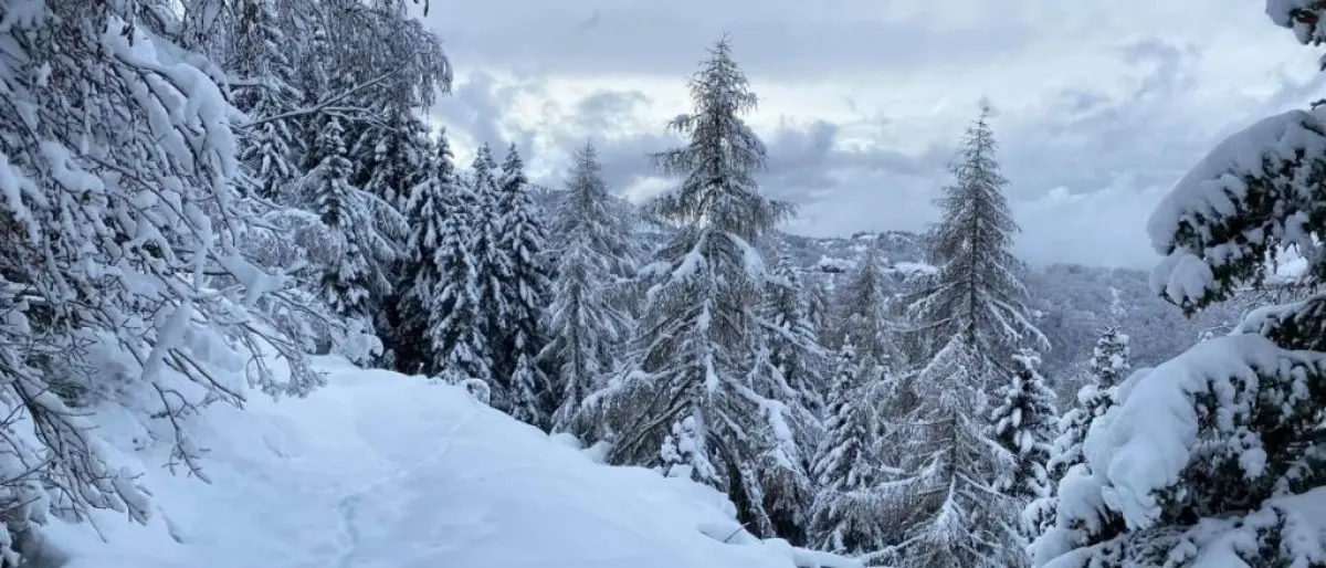 Meteo, freddo da Russia e neve fino in pianura: Italia nella morsa del gelo