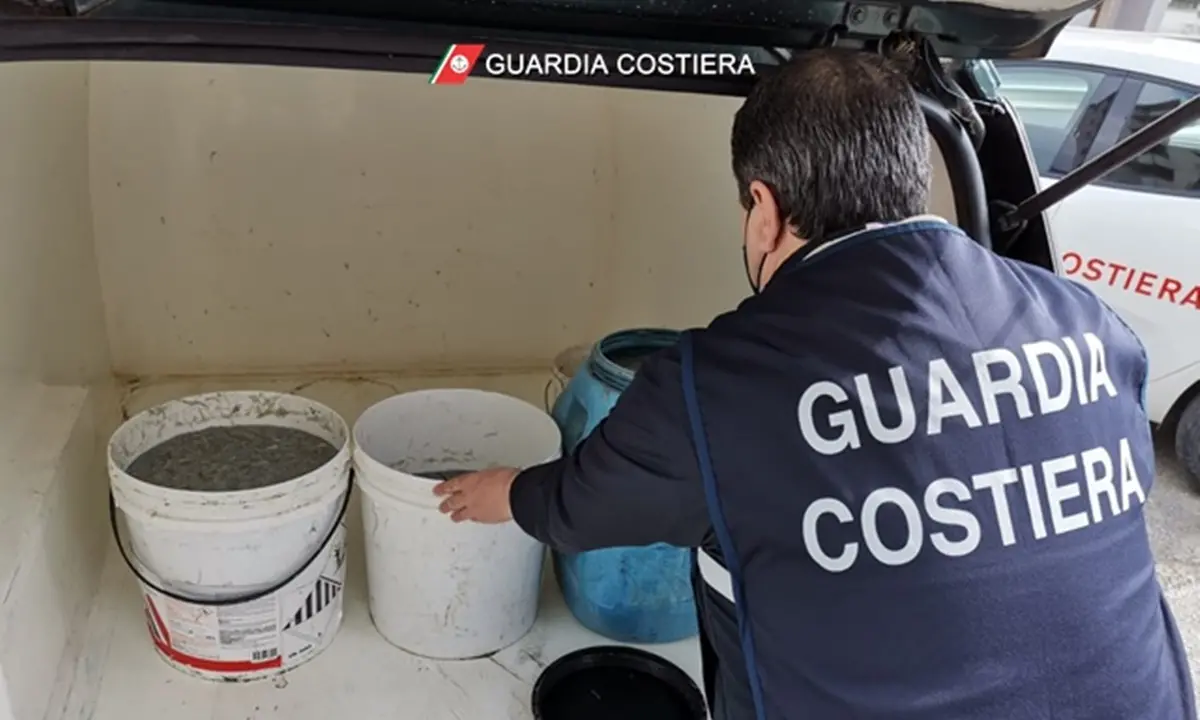 Sibaritide, la Guardia costiera sequestra 114 chili di novellame di sarda
