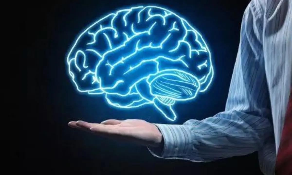 Covid, osservate alterazioni nel cervello dopo un anno dall'infezione: i risultati della ricerca