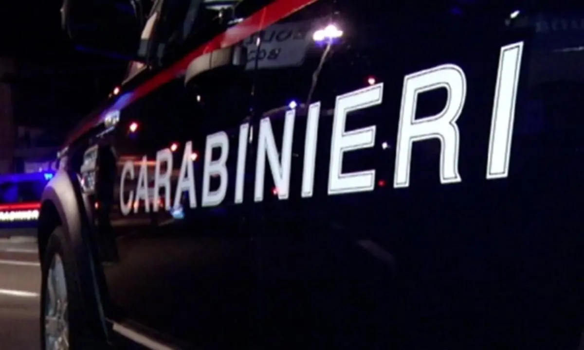 Accoltella il compagno al termine di una lite: denunciata dai carabinieri