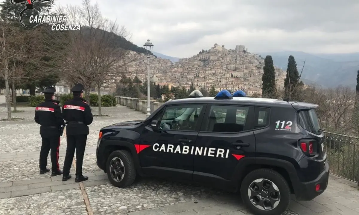 Castrovillari, sei persone multate perché non avevano la cintura di sicurezza allacciata