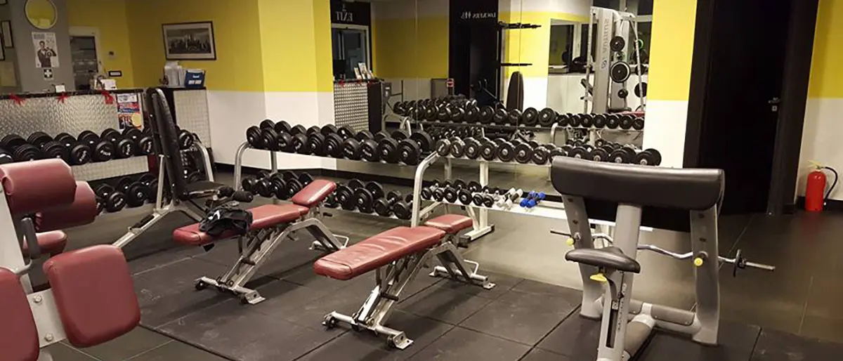 Palestra \"Scorpion\" di Rende, annullata la condanna di bancarotta fraudolenta per Sandro Daniele