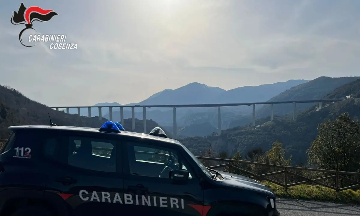 Sicurezza nei luoghi di lavoro, controlli dei carabinieri nella zona del Pollino
