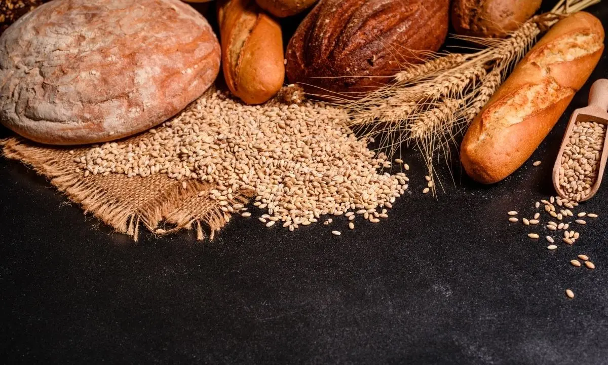 L'allarme dei panificatori: «Entro 50 giorni l'Italia rischia di rimanere senza grano»