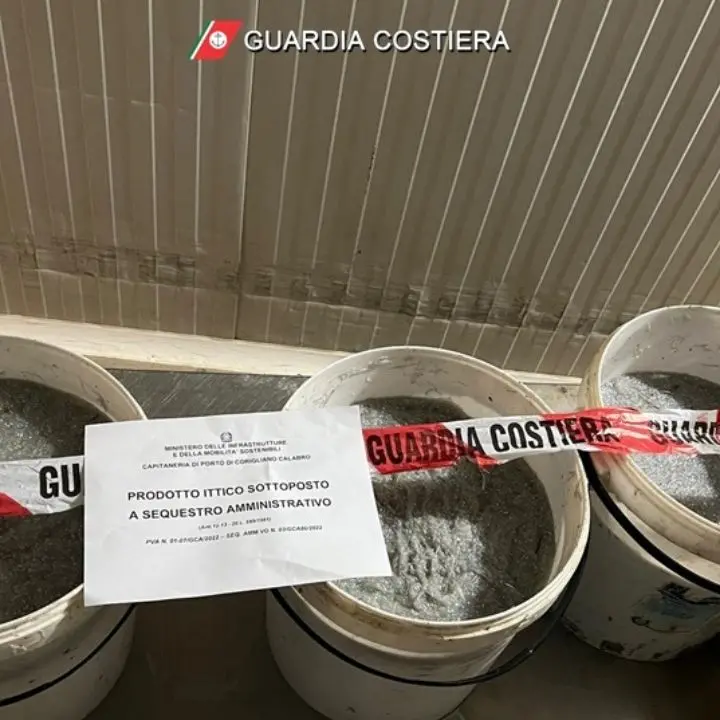 Sibaritide, sequestrati 70 kg di novellame: multa salata per il trasgressore