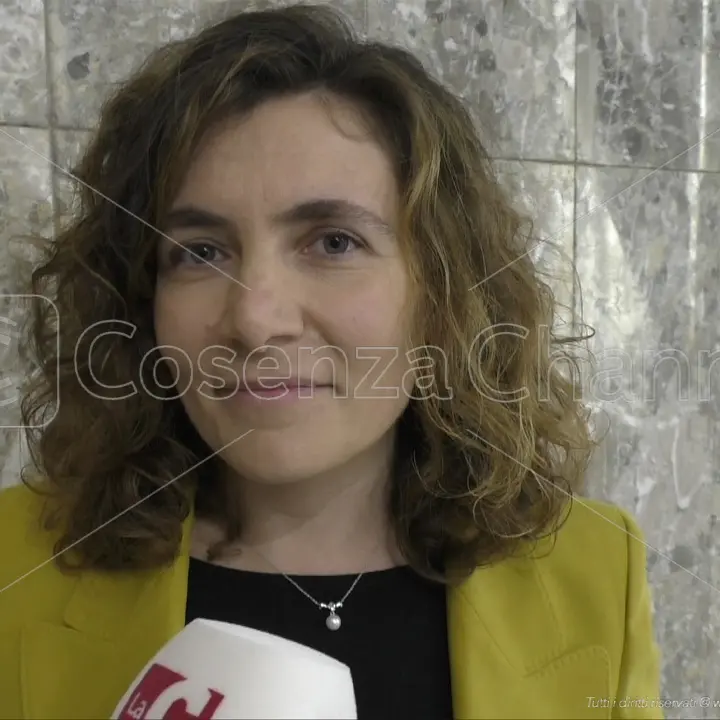 Neet working tour, il ministro Dadone a Cosenza. Orrico: «Opportunità di crescita per i giovani»