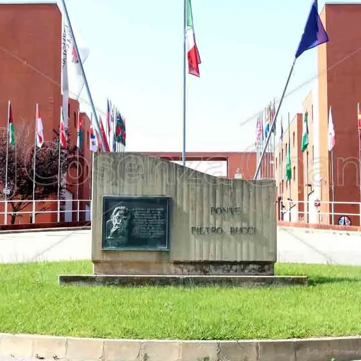 Felicemente in controtendenza: l'Unical tra i pochi atenei italiani in cui aumentano i nuovi iscritti