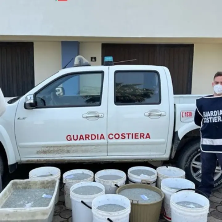 Sibaritide, sequestrati 330 chili di novellame. Denunciato il trasgressore