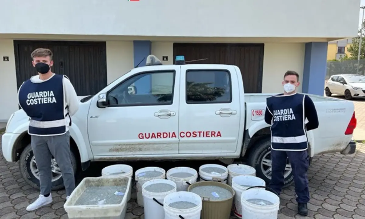 Sibaritide, sequestrati 330 chili di novellame. Denunciato il trasgressore