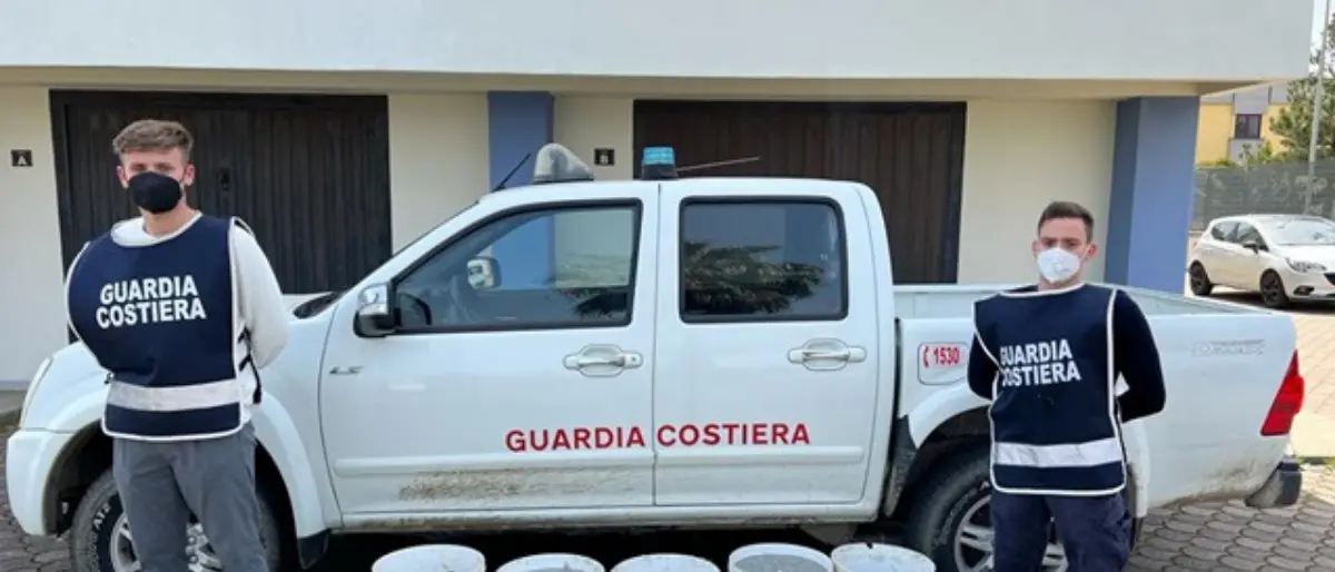 Sibaritide, sequestrati 330 chili di novellame. Denunciato il trasgressore