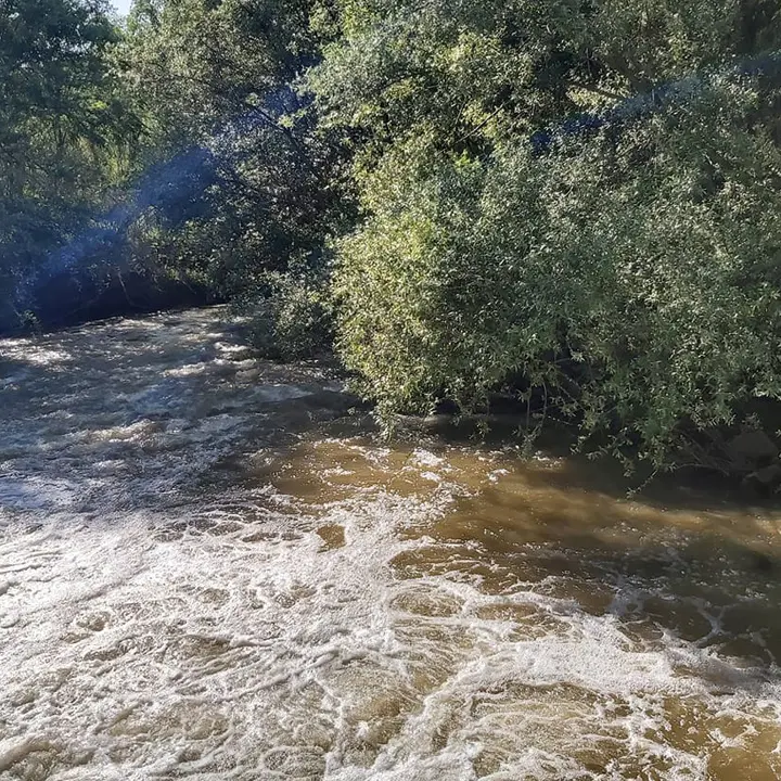 Corigliano Rossano, emergenza Crati: sopralluogo dei vertici di Calabria Verde