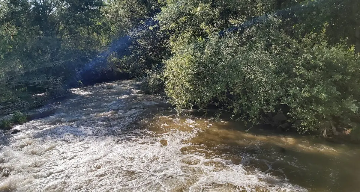 Inquinamento del fiume Crati, la Cassazione conferma la condanna di Vincenzo Cerrone\n