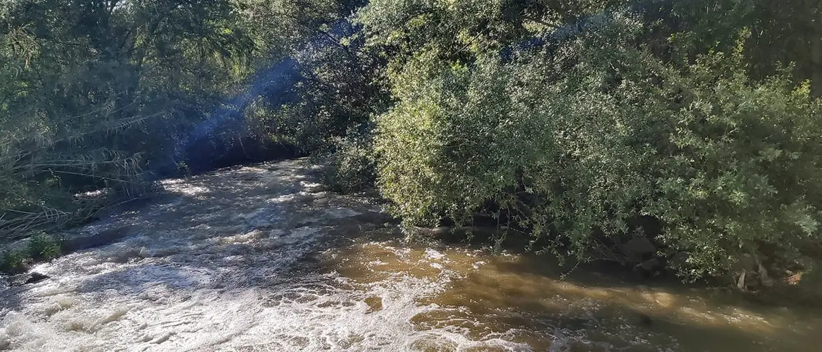 La Cosenza che vuoi: «Caruso garantisca a prescindere la pulizia dei fiumi»
