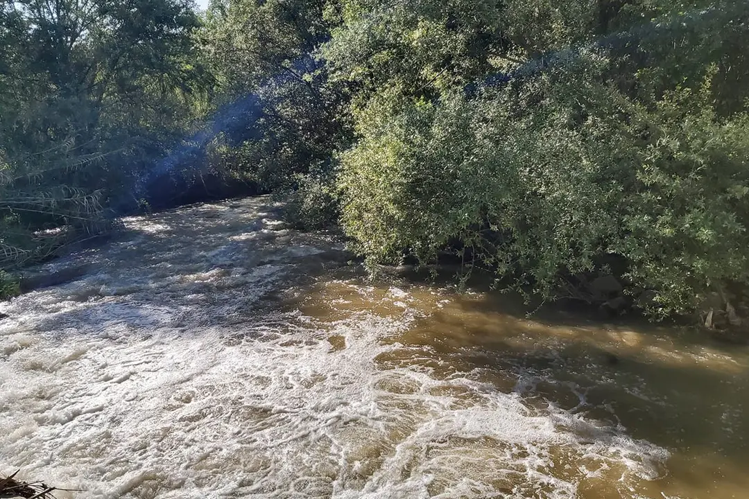 Inquinamento del fiume Crati, la Cassazione conferma la condanna di Vincenzo Cerrone\n