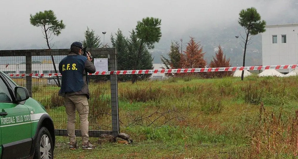 Processo ex Legnochimica di Rende, riparte l’istruttoria in appello dopo la condanna in primo grado di Bilotta\n