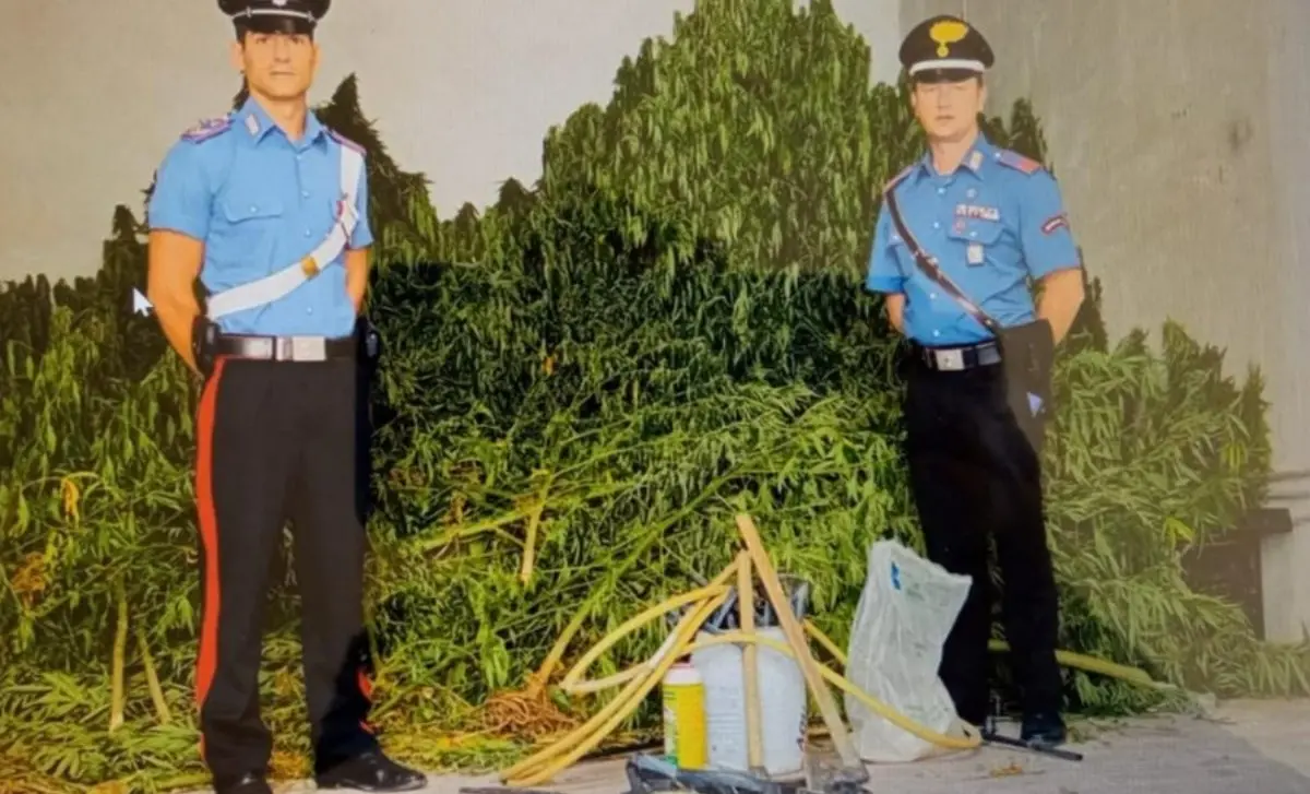 Coltivavano marijuana, emessi tre divieti di dimora