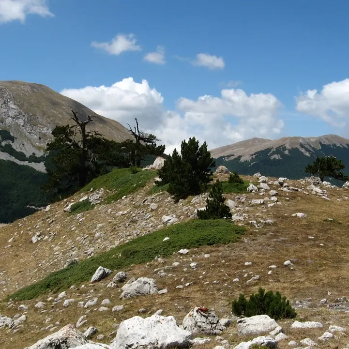 Pollino Enoico Festival a Campotenese dal 28 al 30 ottobre: ecco il programma
